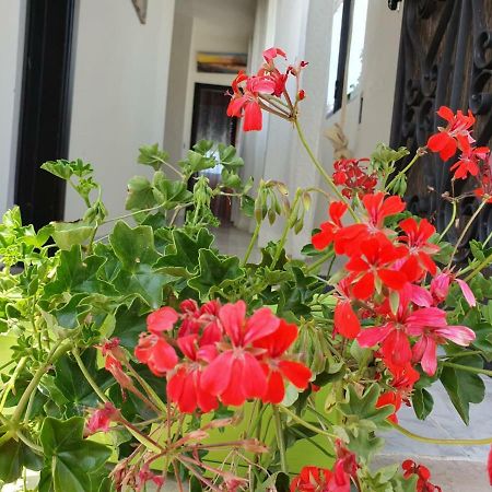 Il Casale Di Zi'Leo Bed and Breakfast Campomarino  Eksteriør billede