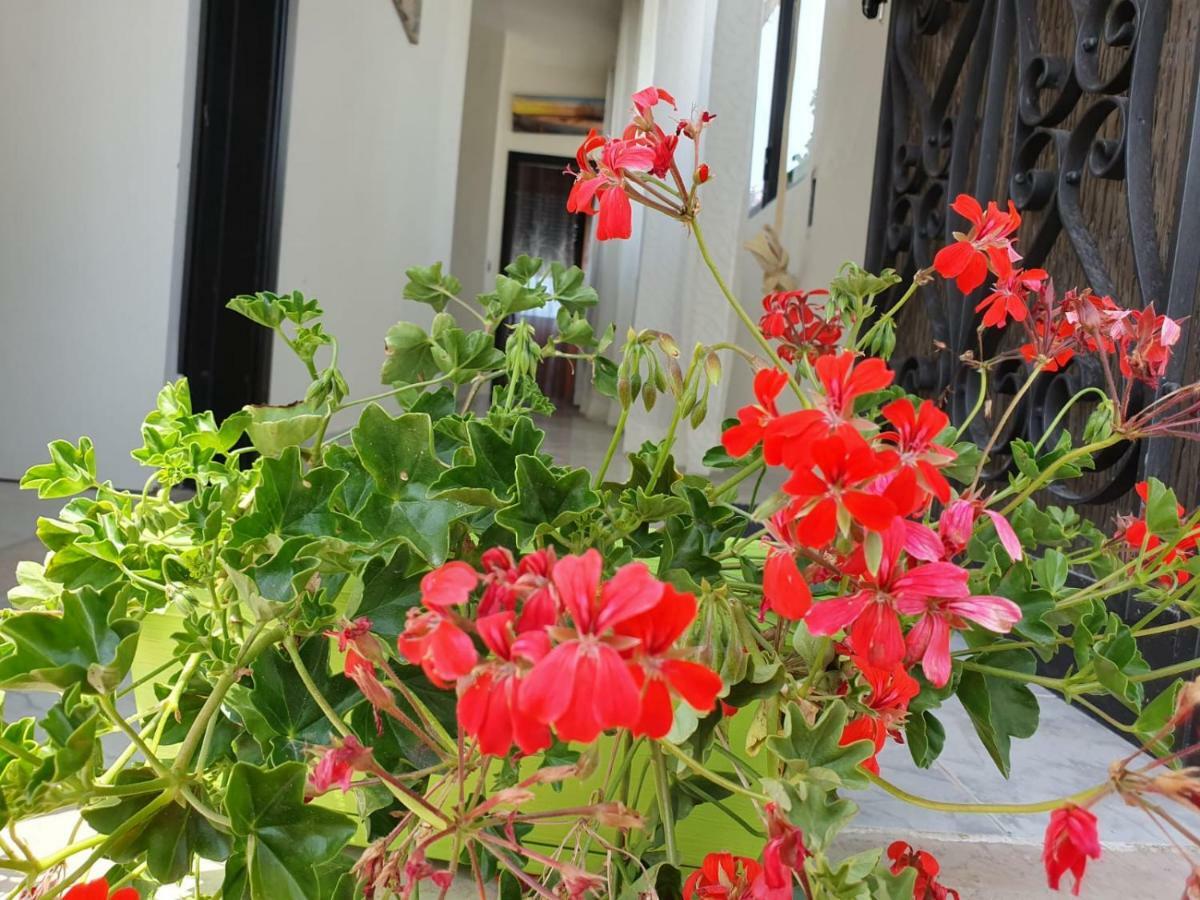 Il Casale Di Zi'Leo Bed and Breakfast Campomarino  Eksteriør billede
